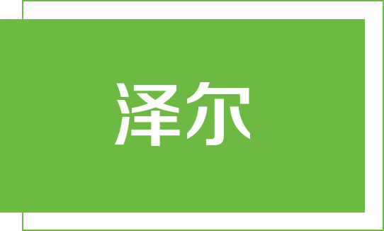 105about 泽尔生态板logo