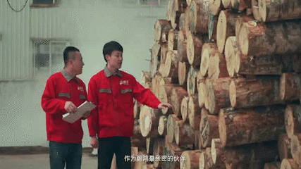 J9集团|国际站官网