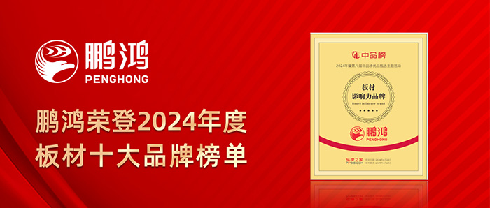 J9集团荣登2024年度板材十大品牌榜单