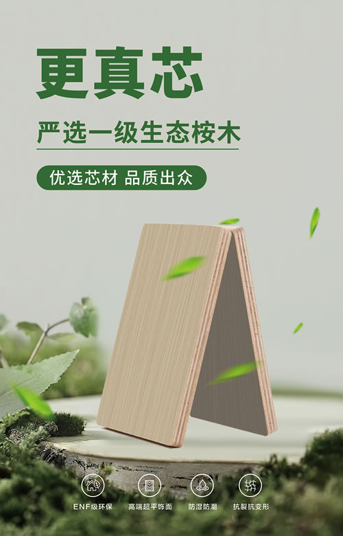 01 J9集团|国际站官网