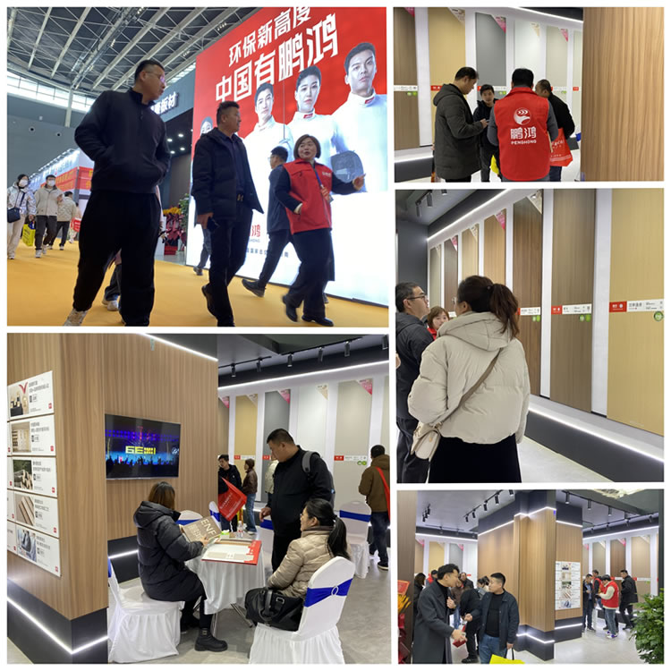 1740704846524180 全屋定造板材展会现场照片
