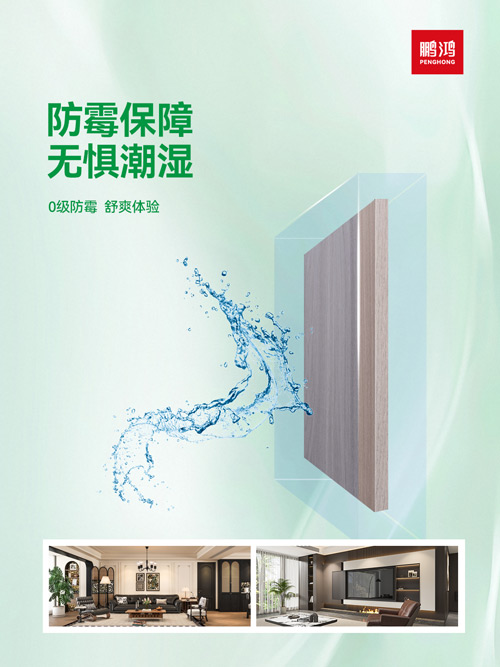 1761721238215219 防霉板材